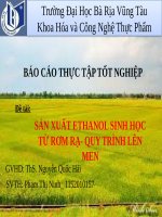 SẢN XUẤT ETHANOL SINH HỌC từ rơm RẠ  QUY TRÌNH lên MEN