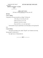 Đề văn lớp 8- sưu tầm đề kiểm tra, thi học sinh giỏi bồi dưỡng (152)