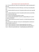 Đề cương tốt nghiệp môn Kiểm toán