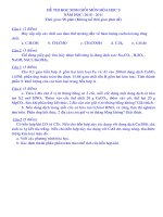 Đề thi học sinh giỏi Hóa học 9 cấp tỉnh số 2