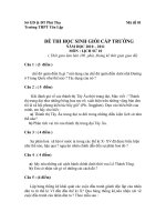 Đề thi học sinh giỏi môn Lịch sử lớp 10 chọn lọc số 5