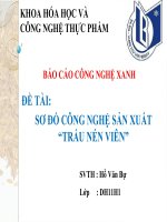 SƠ đồ CÔNG NGHỆ sản XUẤT TRẤU nén VIÊN