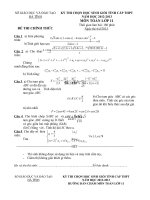 Đề thi học sinh giỏi môn Vật lý lớp 11 chọn lọc số 16