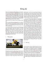 Tài liệu bóng đá lịch sử bóng đá