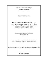 Luận văn thạc sĩ Phát triển nguồn nhân lực tại tại bệnh viện phong   da liễu trung ương quy hòa  (full)
