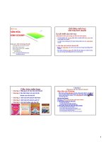 Slide bài giảng môn văn hóa kinh doanh: Chương 1: Giới thiệu về môn học