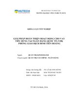 Giải pháp hoàn thiện hoạt động cho vay tiêu dùng tại Ngân hàng thương mại cổ phần Quốc tế Việt Nam - Phòng giao dịch Đinh Tiên Hoàng (VIB - Đinh Tiên Hoàng)
