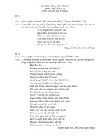 Đề văn 10 - sưu tầm đề kiểm tra, thi học kỳ, học sinh giỏi tham khảo bồi dưỡng  (47)