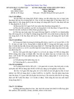 Đề thi học sinh giỏi môn Hóa học lớp 9 số 28