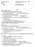 Đề văn 7 - sưu tầm đề kiểm tra, thi định kỳ học sinh giỏi môn văn bồi dưỡng (85)