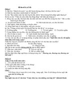 Đề văn 7 - sưu tầm đề kiểm tra, thi định kỳ học sinh giỏi môn văn bồi dưỡng (95)