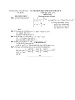 Đề thi học sinh giỏi Toán lớp 12 chọn lọc số 4