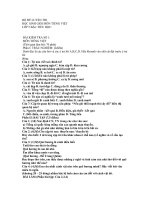 Đề thi lớp 5 - sưu tầm các đề kiểm tra, thi học sinh giỏi lớp 5 bồi dưỡng (60)