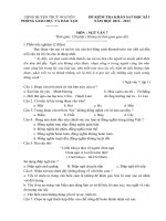 Đề văn 7 - sưu tầm đề kiểm tra, thi định kỳ học sinh giỏi môn văn bồi dưỡng (160)