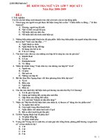 Đề văn 7 - sưu tầm đề kiểm tra, thi định kỳ học sinh giỏi môn văn bồi dưỡng (11)