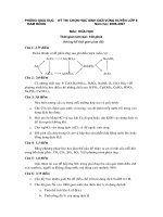 Đề thi học sinh giỏi môn Hóa học lớp 9 số 23