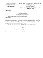 Đề thi học sinh giỏi Ngữ văn lớp 10 chọn lọc số 1