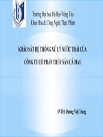 KHẢO sát hệ THỐNG xử lý nước THẢI của CÔNG TY cổ PHẦN THỦY sản cà MAU