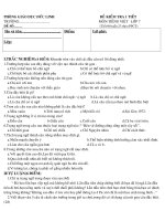 Đề văn 7 - sưu tầm đề kiểm tra, thi định kỳ học sinh giỏi môn văn bồi dưỡng (42)