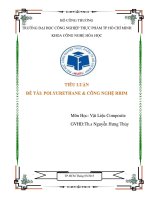 ĐỀ TÀI POLYURETHANE & CÔNG NGHỆ RRIM