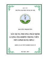 Xây dựng phương pháp định lượng felodipin trong viên nén GPKD bằng HPLC