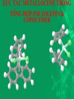 XÚC tác METALLOCENE TRONG TỔNG hợp POLYOLEFIN  COPOLYMER