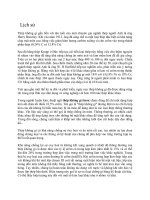 bài giảng sơ lược về thép