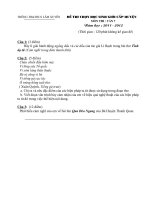 Đề văn 7 - sưu tầm đề kiểm tra, thi định kỳ học sinh giỏi môn văn bồi dưỡng (80)