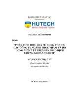 Phân tích hiệu quả sử dụng vốn tại các công ty ngành thực phẩm và đồ uống niêm yết trên sàn giao dịch chứng khoán tp.Hồ Chí Minh
