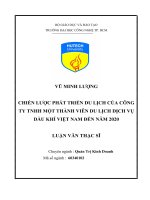 Chiến lược phát triển du lịch của công ty TNHH một thành viên du lịch dịch vụ dầu khí Việt Nam đến năm 2020
