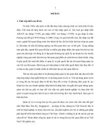 Hoàn thiện công tác quản trị rủi ro trong thủ tục hải quan điện tử tại Việt Nam
