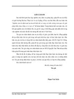 Nghiên cứu ổn định mái hạ lưu đê biển khi có sóng và triều cường tràn qua với giải pháp khắc phục bằng cỏ có gia cố