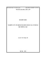 Nghiên cứu ổn định mái dốc được gia cố bằng hệ thống cọc