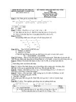 đề thi hsg giải toán trên máy tính cầm tay, đề 17