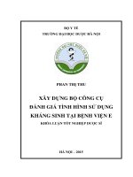 Xây dựng bộ công cụ đánh giá tình hình sử dụng kháng sinh tại bệnh viện e
