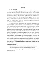 Chiến lược phát triển trường đại học Bà Rịa-Vũng Tàu đến năm 2020