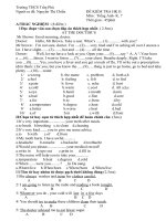 Đề tiếng anh 7 - sưu tầm đề kiểm tra, thi học sinh giỏi tham khảo bồi dưỡng (17)