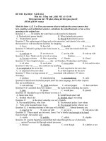 thi thử đh môn anh văn, đề tham khảo 19