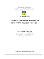 Xây dựng chiến lược kinh doanh công ty Tân Châu đến năm 2020