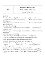 Đề thi học kì 1 môn Vật lý lớp 11 năm 2012 (Chương trình nâng cao)