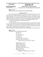 Đề thi học sinh giỏi lớp 9 môn Văn tỉnh Quảng Bình năm 2013