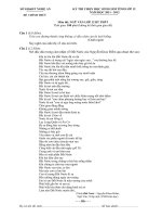 Đề thi học sinh giỏi Ngữ văn lớp 12 chọn lọc số 16