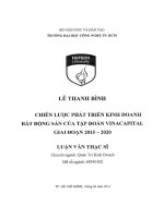 Chiến lược phát triển kinh doanh bất động sản của tập đoàn Vinacapital giai đoạn 2015-2020