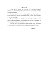 Nghiên cứu lựa chọn giải pháp chống thấm cho nền đập hồ chứa Khuôn Vố - Bắc Giang