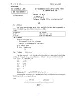 Đề thi học sinh giói cấp tỉnh lớp 10 môn Tin học bảng A