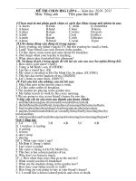 đề thi chọn hsg tiếng anh 6