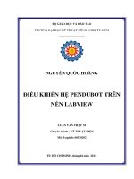 Điều khiển hệ PENDUBOT trên nền LABVIEW