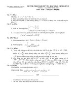 Đề thi học sinh giỏi Toán lớp 12 chọn lọc số 21