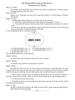 Đề thi học sinh giỏi môn Sinh học lớp 11 chọn lọc số 13