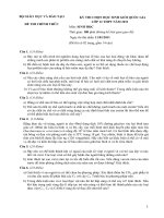 Đề thi học sinh giỏi môn Sinh học lớp 12 chọn lọc số 21